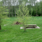 lokkeplats_pic