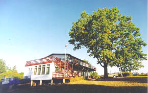 Rummusaare